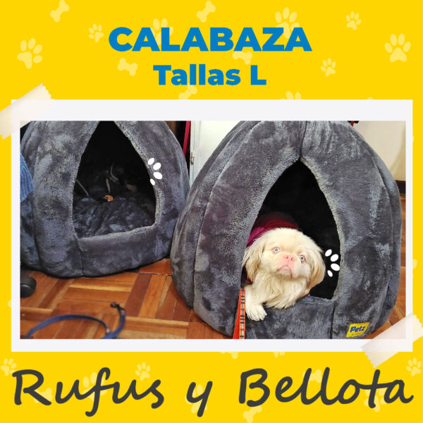 Casa Calabaza para Mascotas - Imagen 10