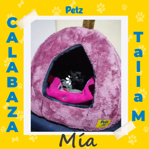 Casa Calabaza para Mascotas - Imagen 14