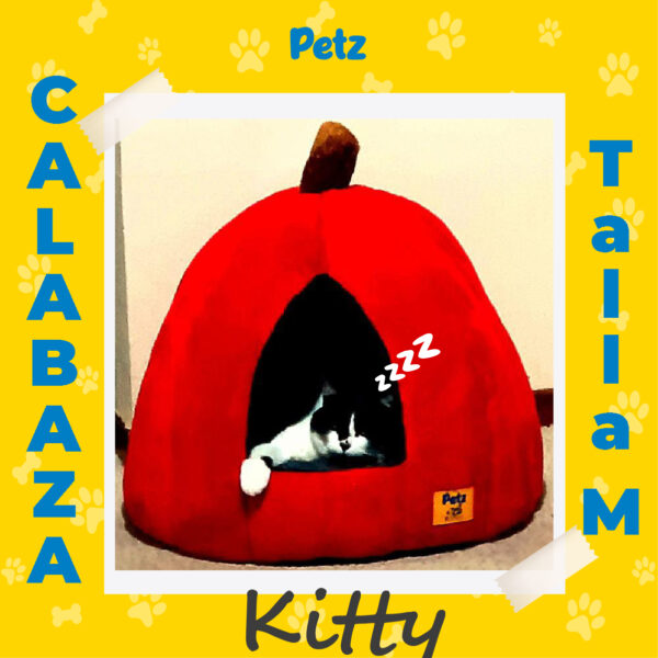 Casa Calabaza para Mascotas - Imagen 15