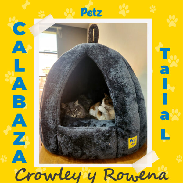 Casa Calabaza para Mascotas - Imagen 18