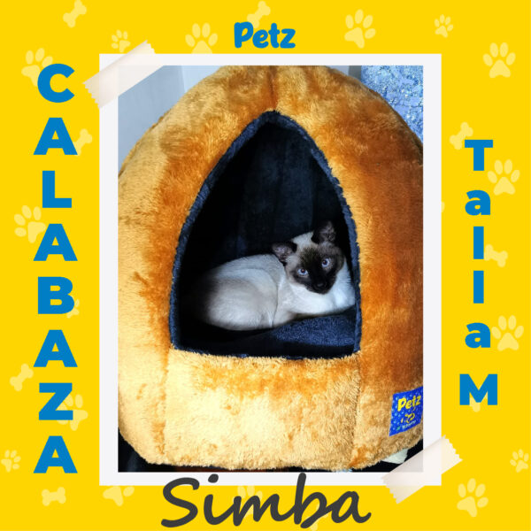 Casa Calabaza para Mascotas - Imagen 19