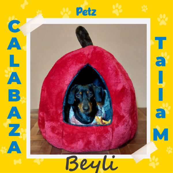Casa Calabaza para Mascotas - Imagen 21
