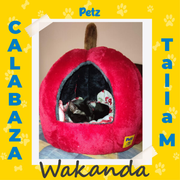 Casa Calabaza para Mascotas - Imagen 22