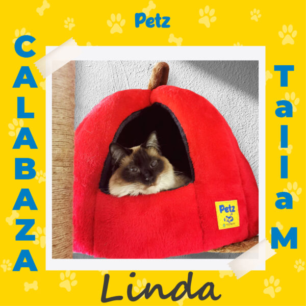 Casa Calabaza para Mascotas - Imagen 24