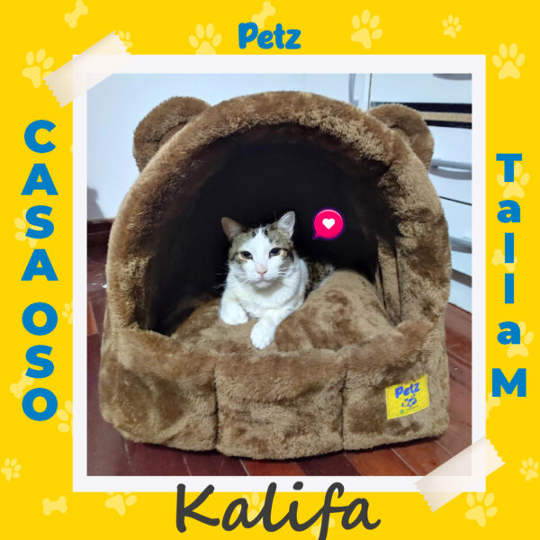 Cama Oso para Mascotas - Imagen 13