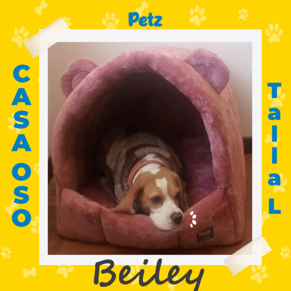 Cama Oso para Mascotas - Imagen 10