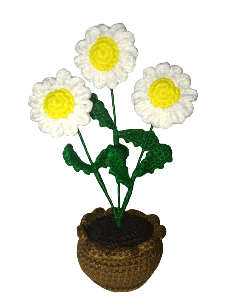 Maceta de margaritas tejida a mano